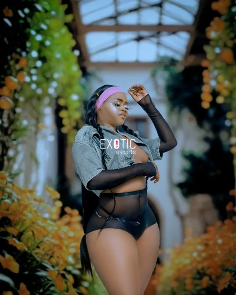 Extra Shemale — 3
