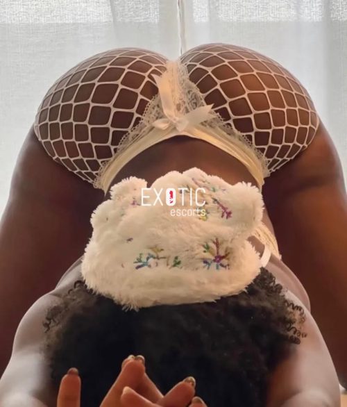 Tracy — 4