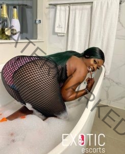 mbozi escort